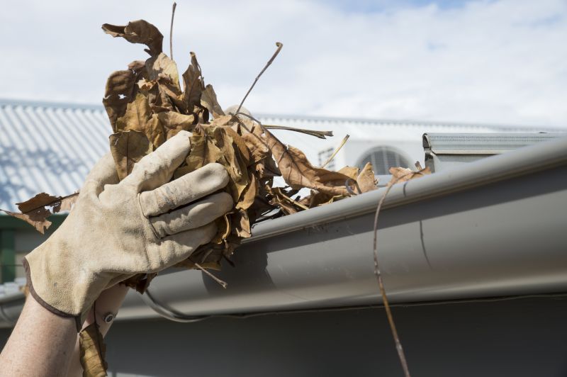 Gutter Leaf Clearing in Frederick, MD