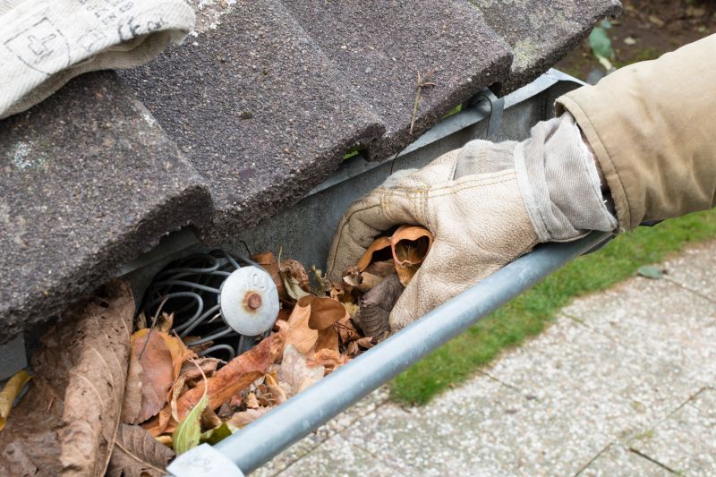 Gutter Leaf Clearing in Rochester, NY