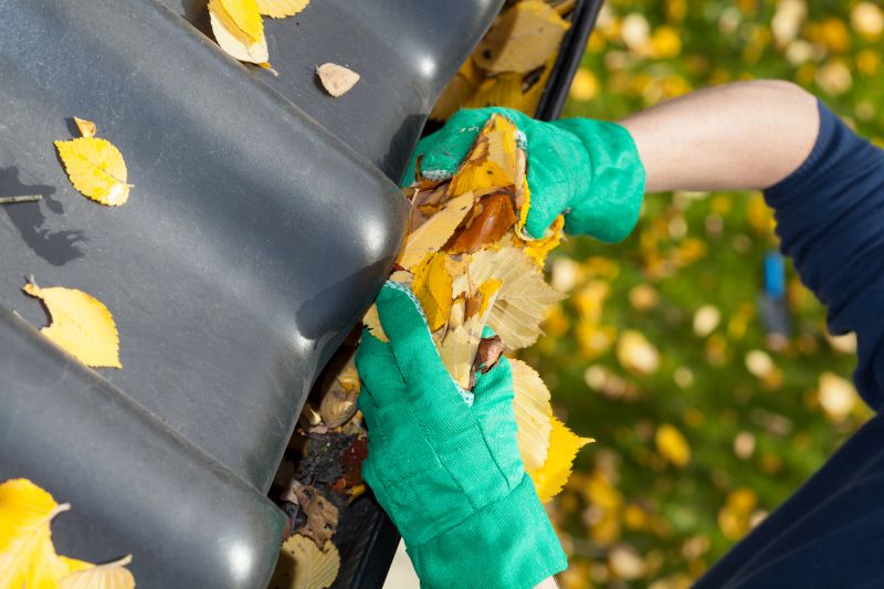 Gutter Leaves Removal in Rochester, NY