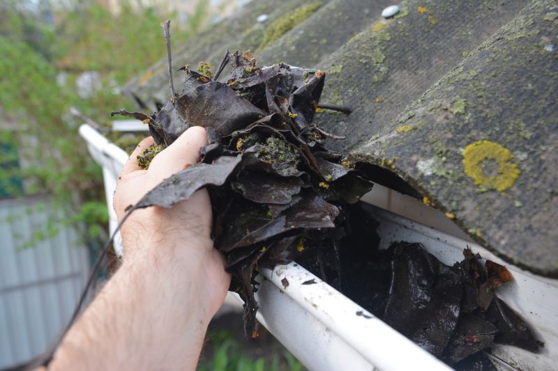 Gutter Maintenance in Richmond, VA