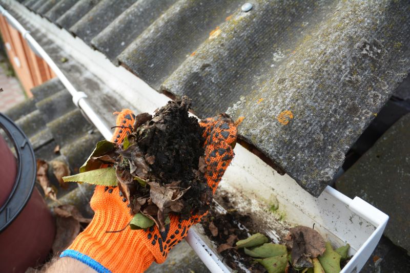 Rain Gutter Clearing in Richmond, VA