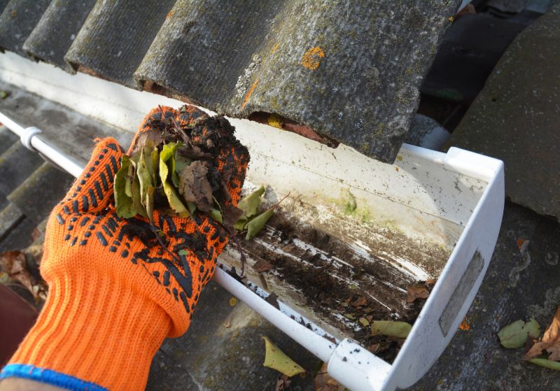 Roof Gutter Cleaning in Pittsburgh, PA